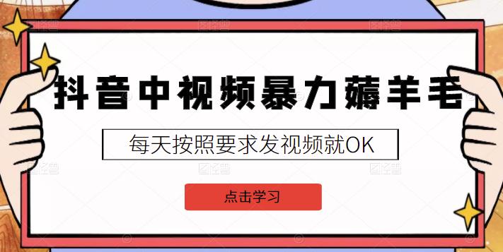2022抖音中视频暴力薅羊毛白嫖项目：新号每天20块，老号几天几百块，可多号￼-心语项目网