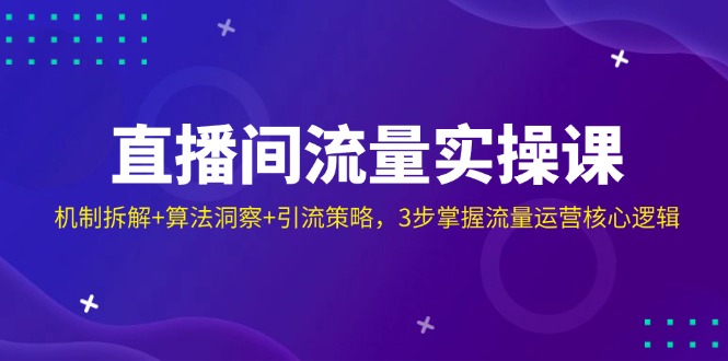 直播间流量实操课：机制拆解+算法洞察+引流策略，3步掌握流量运营核心逻辑-心语项目网