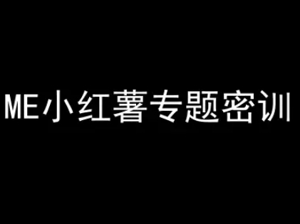 ME小红薯专题密训-小红书电商教程-心语项目网