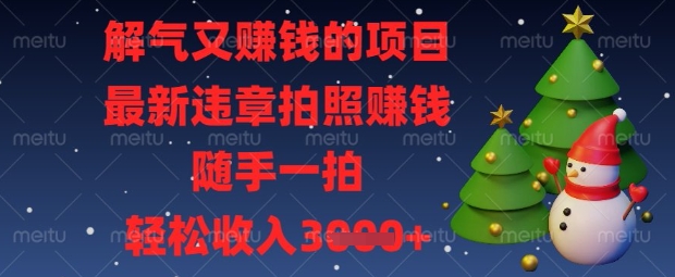 解气又挣钱的项目，最新违章拍照挣钱，随手一拍，轻松收入数张【揭秘】-心语项目网