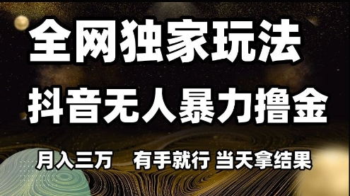 全网独家玩法抖音无人暴力撸金，月入3W，有手就行，当天拿结果【揭秘】-心语项目网