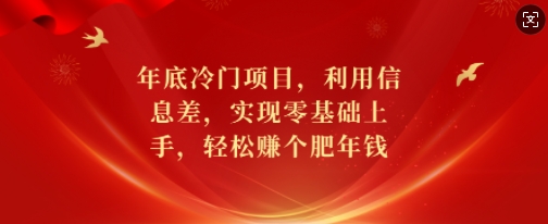 年底冷门项目，利用信息差，实现零基础上手，轻松赚个肥年钱【揭秘】-心语项目网