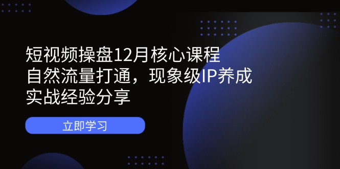 短视频操盘12月核心课程：自然流量打通，现象级IP养成，实战经验分享-心语项目网