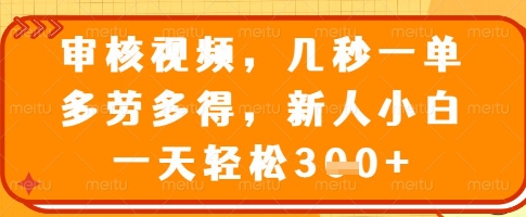 审核视频，几秒一单，多劳多得，新人小白一天轻松3张【揭秘】-心语项目网