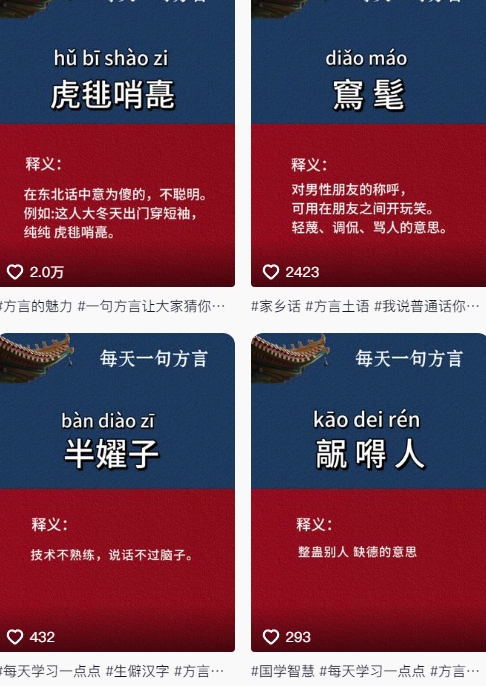 抖音最新涨粉玩法，图文方言暴力涨粉实操，126作品涨粉11W-心语项目网