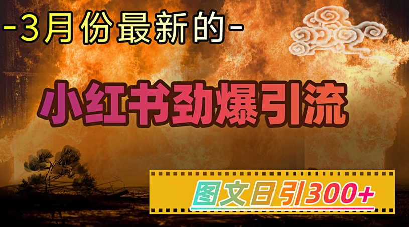 小红书超劲爆引流手段，图文日引300+轻松变现1W-心语项目网