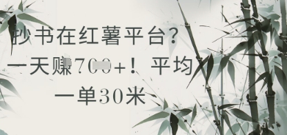 抄书在小红薯平台？平均一单30米，一天收益几张！-心语项目网