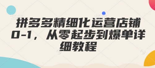 拼多多精细化运营店铺0-1，从零起步到爆单详细教程-心语项目网