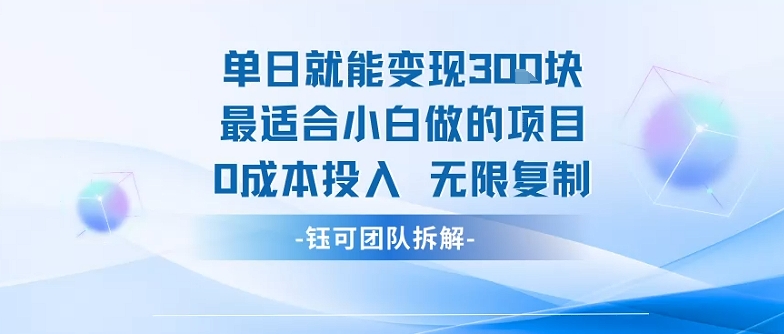 单日就能变现3张最适合小白做的项目0成本投入 无限复制-心语项目网