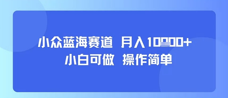 小众蓝海赛道，小白可做，操作简单，每天30分钟，月入1W+-心语项目网