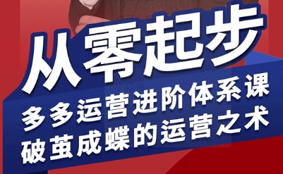拼多多运营进阶系统课，从零起步，多多运营进阶体系课，破茧成蝶的运营之术-心语项目网