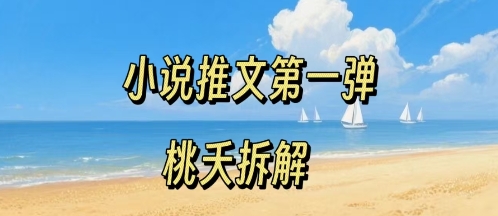 小说推文项目操作全流程第一弹，0粉就能做，门槛低非常适合新手-心语项目网