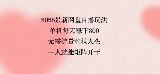 2025最新网盘自撸玩法，单机每天稳下3张，无需流量和拉人头，一个人就可轻松矩阵，全网独一份【揭秘】-心语项目网