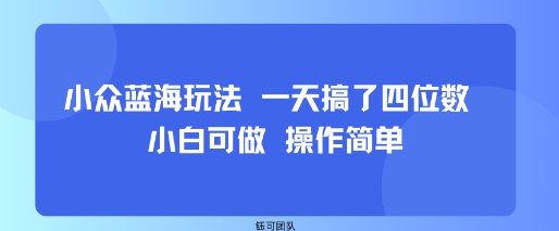 小众蓝海玩法 一天搞了四位数 小白可做 操作简单-心语项目网