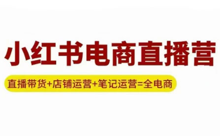 申铭老师·小红书电商直播营(更新)-心语项目网