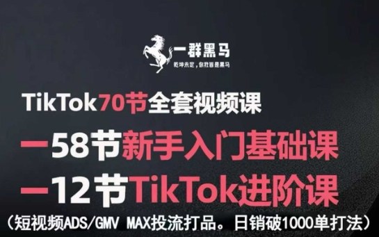 TikTok全套视频课，新手入门+进阶课，短视频ADS-GMV MAX投流打品，日销破1000单打法-心语项目网