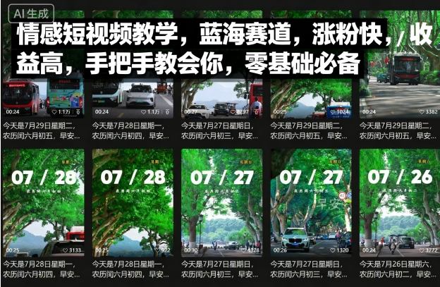 情感短视频教学，蓝海赛道，涨粉快，收益高，手把手教会你，零基础必备-心语项目网