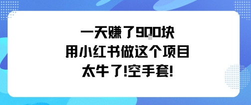 一天挣了9张用小红书做这个项目太牛了，空手套-心语项目网