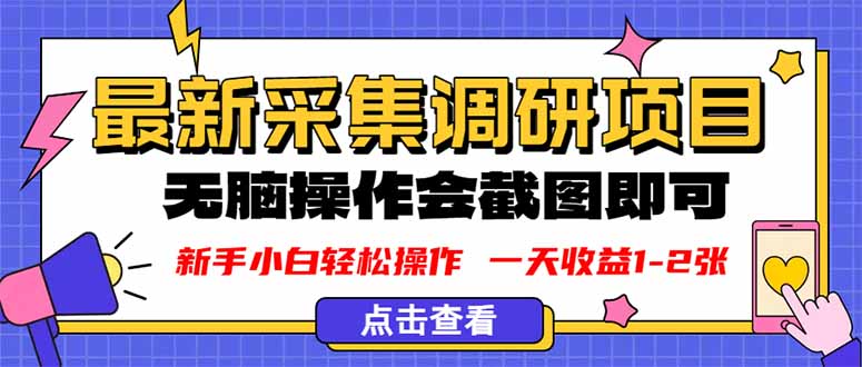 新版采集调研项目，截图上传即可，无脑操作，日收益1-2张-心语项目网