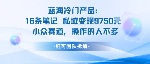 蓝海项目：16条笔记私域变现9750米小众赛道操作的人不多-心语项目网