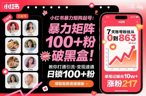 小红书暴力矩阵起号，教你打通引流-变现速通，日锁100+粉，破流量黑盒-心语项目网