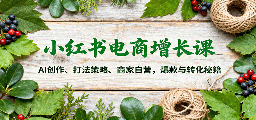 小红书电商增长课：AI创作、打法策略、商家自营，爆款与转化秘籍-心语项目网