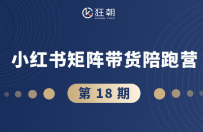 盗坤·抖音小红书视频号短视频带货与直播变现(11-18期)-心语项目网