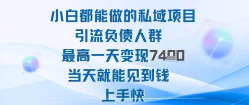 2025年小白都能做的私域项目引流负债人群最高一天变现1k+高变现难度低当天就能见到钱上手快-心语项目网