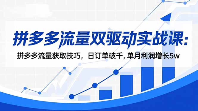 拼多多流量双驱动实战课：拼多多流量获取技巧，日订单破千,单月利润增长5w-心语项目网