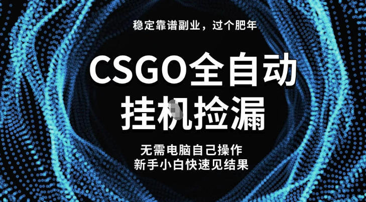 【稳定副业】全球最热门游戏CSGO全自动捡漏，最新玩法，新手小白日入5张+【揭秘】-心语项目网