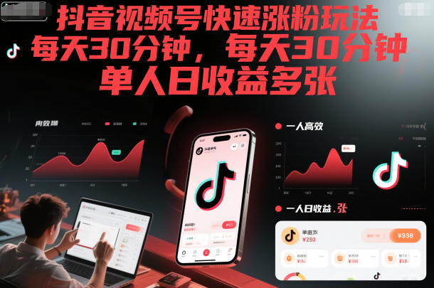 抖音视频号快速涨粉玩法，每天30分钟，单人日收益多张-心语项目网