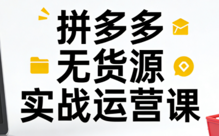 子枫老师·拼多多无货源实战运营课(更新12月)-心语项目网