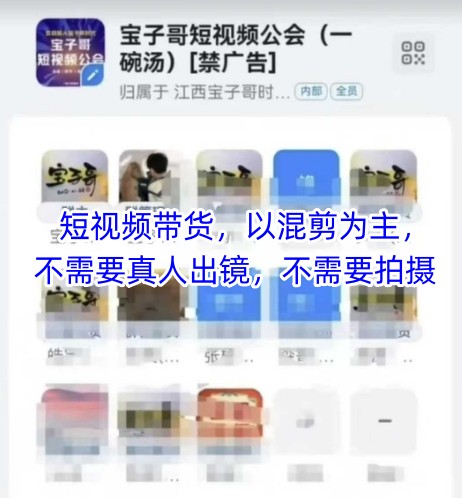 宝子哥头部团队短视频带货，以混剪为主，不需要真人出镜，不需要拍摄【更新12月】-心语项目网