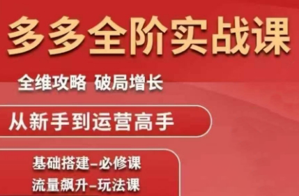 大炮·拼多多全阶实战课程(更新2026)-心语项目网