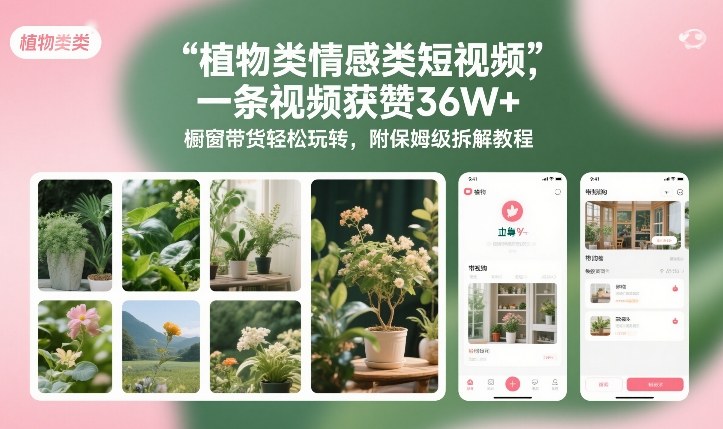 植物类情感类短视频，一条视频获赞36W+，橱窗带货轻松玩转，附保姆级拆解教程-心语项目网
