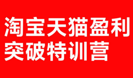 玺承·淘宝天猫盈利突破特训营(25年12月线下课)【音频+字幕】-心语项目网