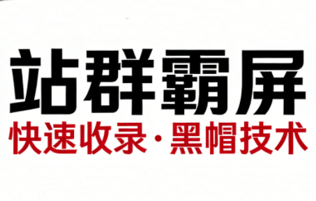 SEO野路子实战全集：快速收录、站群霸屏、黑帽技术(更新)-心语项目网