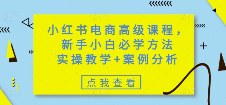 小红书电商高级课程，新手小白必学方法，实操教学+案例分析-心语项目网