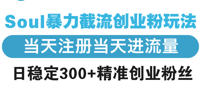 Soul暴力截流创业粉玩法，当天注册当天进流量，日稳定300+精准创业粉丝-心语项目网