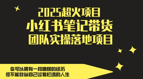 2025超火项目，副业最佳选择，小红书笔记带货团队实操落地项目，，轻松日入5张-心语项目网