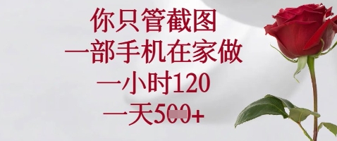 你只管截图，一部手机在家做，苹果安卓都可以，一小时120，一天5张+【揭秘】-心语项目网