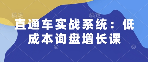 直通车实战系统：低成本询盘增长课，让个人通过技能实现升职加薪，让企业低成本获客，订单源源不断-心语项目网