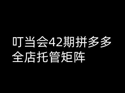 叮当会拼多多打爆班原创高阶技术第42期，拼多多全店托管矩阵-心语项目网
