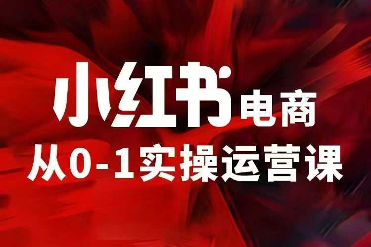 小红书电商运营，97节小红书vip内部课，带你实现小红书赚钱-心语项目网