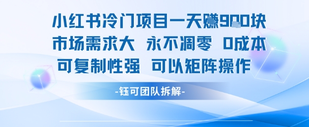 小红书冷门项目一天收益9张，市场需求大，0成本，可复制性强可以矩阵操作-心语项目网