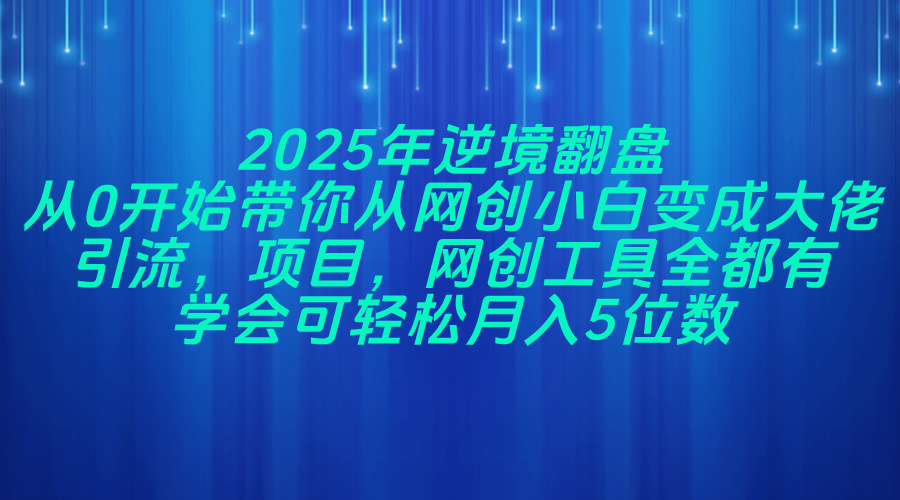 2025年逆境翻盘，从0开始带你从网创小白变成大佬，引流，项目，网创工…-心语项目网