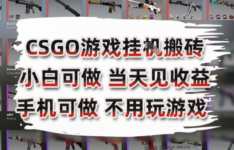 CSGO游戏挂G搬砖，小白纯手机即可操作，不用电脑打游戏，日入3张+，副业网创项目【揭秘】-心语项目网