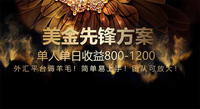 免费技术！小众赛道！一年布局抵三年努力，每日800+-心语项目网