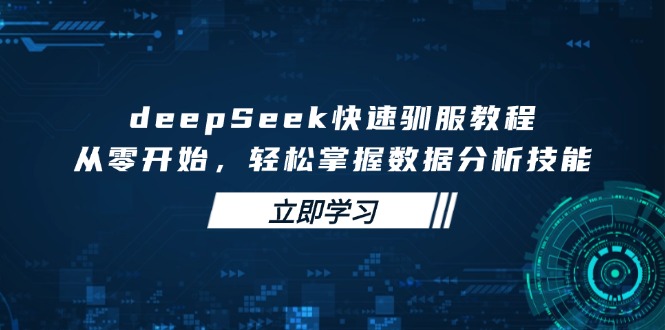 deepSeek快速驯服教程，从零开始，轻松掌握数据分析技能-心语项目网