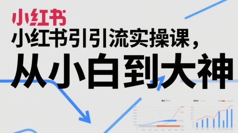 小红书引流实操课，从小白到大神-心语项目网